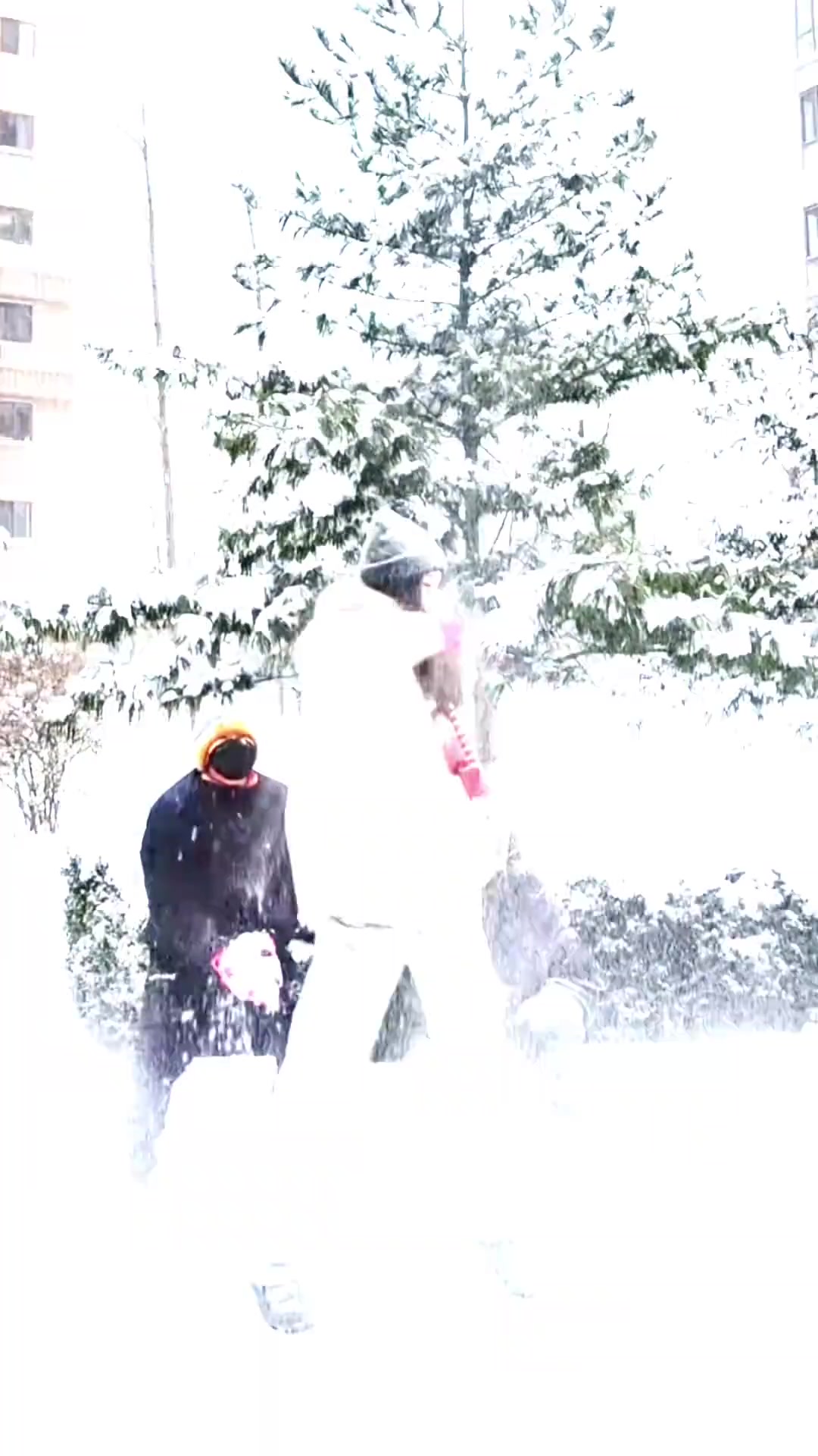 png电子东北的冬天！赵继伟妻子晒二人玩雪视频：下雪啦！撒欢儿去