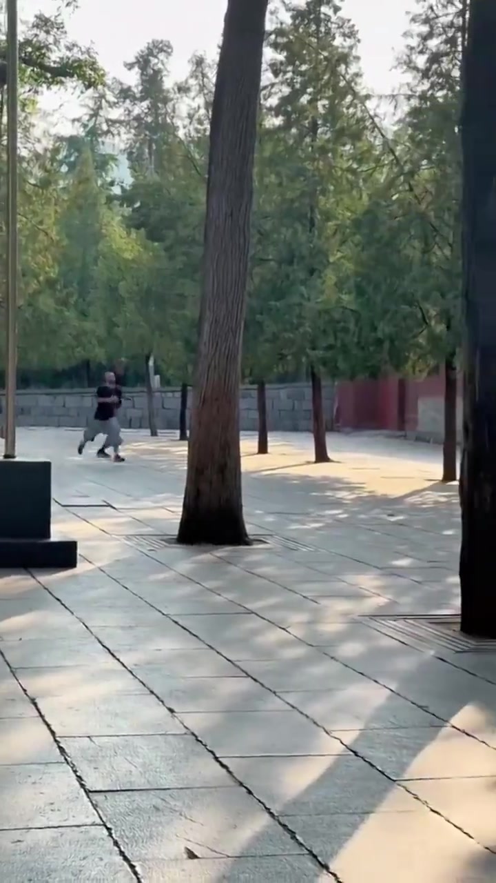 电子png游戏修行倒计时👻“第一高僧”文班亚马又被拍到清晨在少林寺跑步